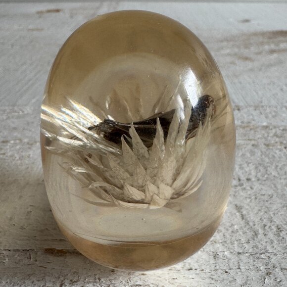 Vintage Lucite Acrylic Paperweight Decor with White Strawflower and Real Bug - Picture 4 of 10